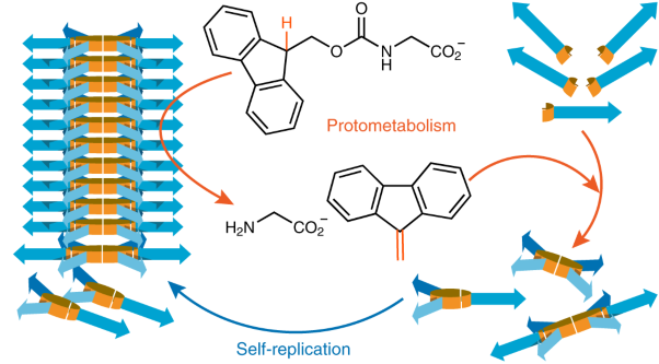 Chance emergence of catalytic activity and promiscuity in a self-replicator