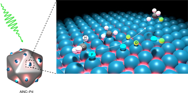 Plasmon-driven carbon–fluorine (C(<i>sp</i><sup>3</sup>)–F) bond activation with mechanistic insights into hot-carrier-mediated pathways