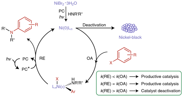 Overcoming limitations in dual photoredox/nickel-catalysed C–N cross-couplings due to catalyst deactivation