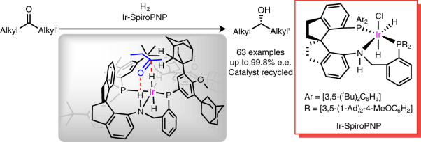 Enantioselective hydrogenation of dialkyl ketones