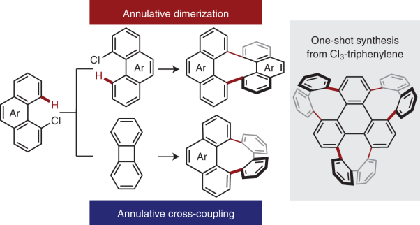 Creation of negatively curved polyaromatics enabled by annulative coupling that forms an eight-membered ring