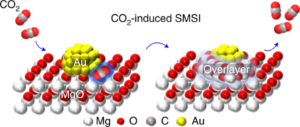 Strong metal–support interactions on gold nanoparticle catalysts achieved through Le Chatelier’s principle