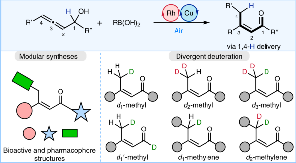 Stereodefined rhodium-catalysed 1,4-H/D delivery for modular syntheses and deuterium integration