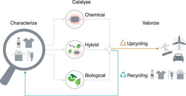 Chemical and biological catalysis for plastics recycling and upcycling