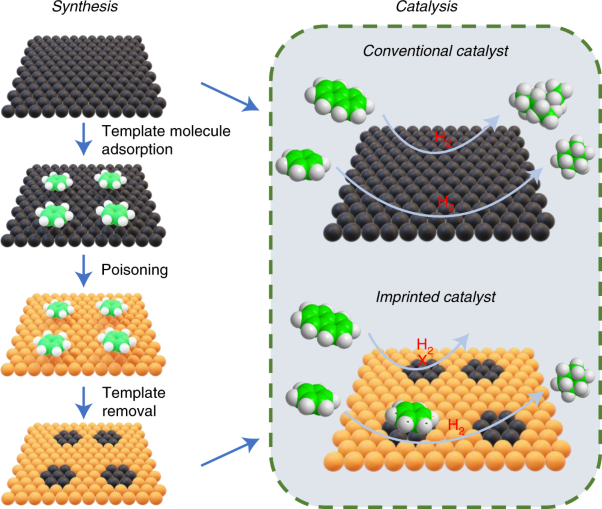 Surface molecular imprinting over supported metal catalysts for size-dependent selective hydrogenation reactions