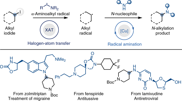 Copper-catalysed amination of alkyl iodides enabled by halogen-atom transfer