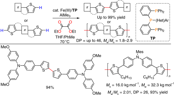 Iron-catalysed regioselective thienyl C–H/C–H coupling