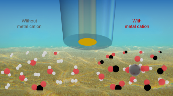 Absence of CO<sub>2</sub> electroreduction on copper, gold and silver electrodes without metal cations in solution