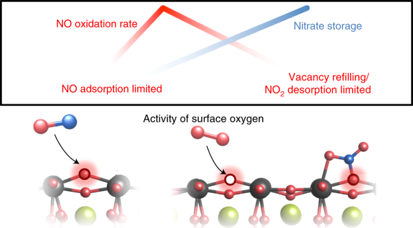 Regulating oxygen activity of perovskites to promote NO<sub>x</sub> oxidation and reduction kinetics