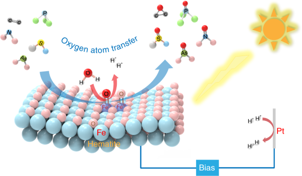 α-Fe<sub>2</sub>O<sub>3</sub> as a versatile and efficient oxygen atom transfer catalyst in combination with H<sub>2</sub>O as the oxygen source