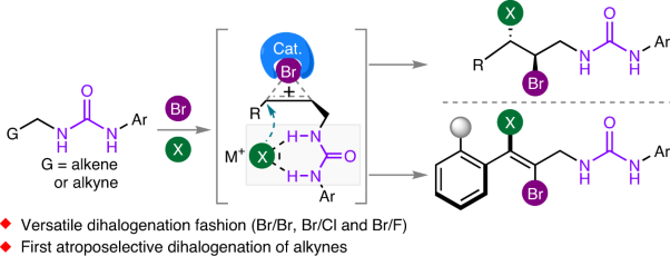 Urea group-directed organocatalytic asymmetric versatile dihalogenation of alkenes and alkynes