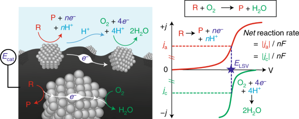 Thermochemical aerobic oxidation catalysis in water can be analysed as two coupled electrochemical half-reactions