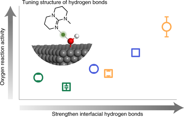 Enhancing oxygen reduction electrocatalysis by tuning interfacial hydrogen bonds