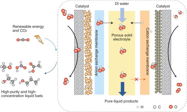 High-purity and high-concentration liquid fuels through CO<sub>2</sub> electroreduction