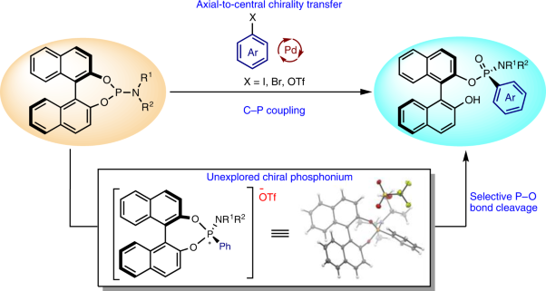 P-chirogenic phosphorus compounds by stereoselective Pd-catalysed arylation of phosphoramidites
