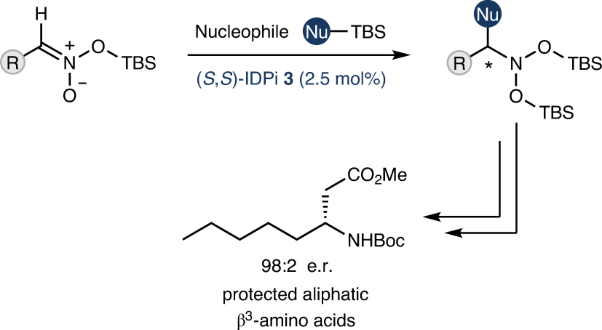Harnessing the ambiphilicity of silyl nitronates in a catalytic asymmetric approach to aliphatic β<sup>3</sup>-amino acids