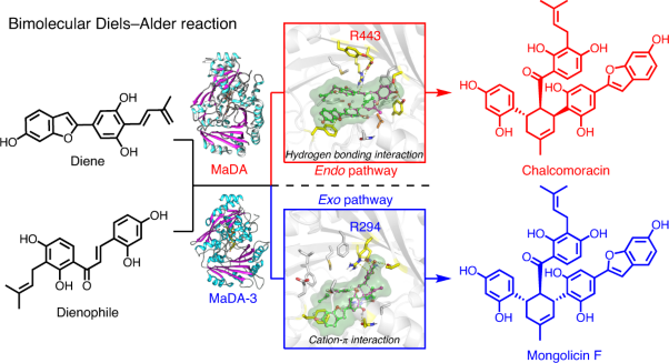 Enzymatic control of <i>endo-</i> and <i>exo-</i>stereoselective Diels–Alder reactions with broad substrate scope