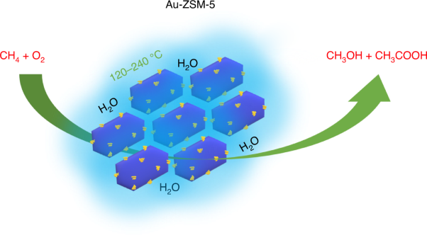 Au-ZSM-5 catalyses the selective oxidation of CH<sub>4</sub> to CH<sub>3</sub>OH and CH<sub>3</sub>COOH using O<sub>2</sub>