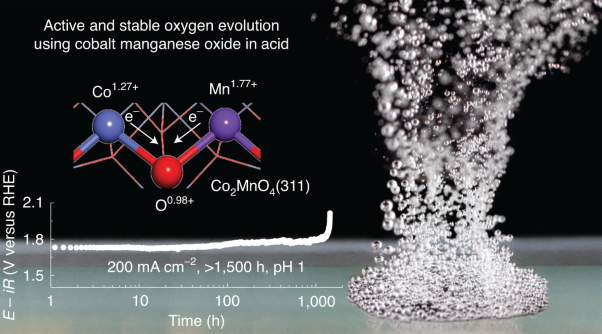 Enhancing the stability of cobalt spinel oxide towards sustainable oxygen evolution in acid