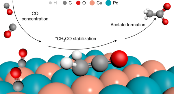 Selective CO-to-acetate electroreduction via intermediate adsorption tuning on ordered Cu–Pd sites