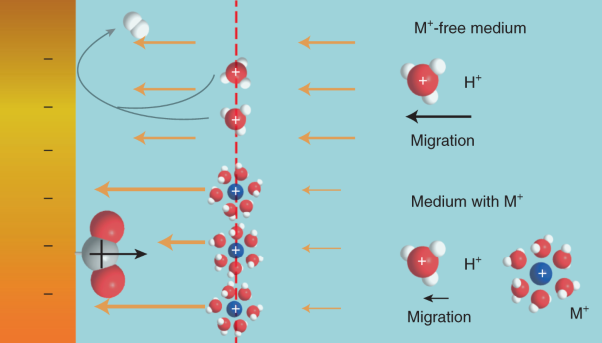 Modulating electric field distribution by alkali cations for CO<sub>2</sub> electroreduction in strongly acidic medium