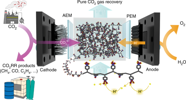 Recovering carbon losses in CO<sub>2</sub> electrolysis using a solid electrolyte reactor