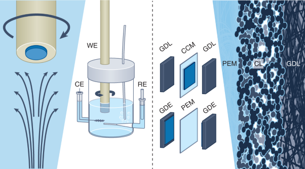 Capabilities and limitations of rotating disk electrodes versus membrane electrode assemblies in the investigation of electrocatalysts