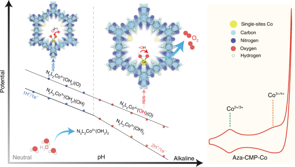 Intramolecular hydroxyl nucleophilic attack pathway by a polymeric water oxidation catalyst with single cobalt sites