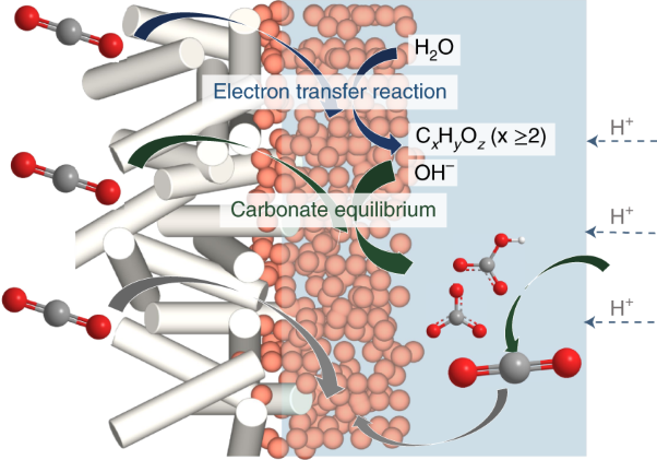 High carbon utilization in CO<sub>2</sub> reduction to multi-carbon products in acidic media