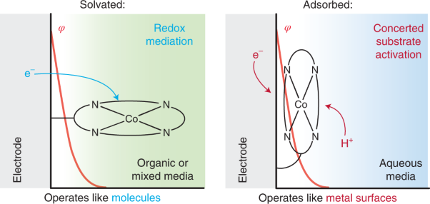 Adsorbed cobalt porphyrins act like metal surfaces in electrocatalysis