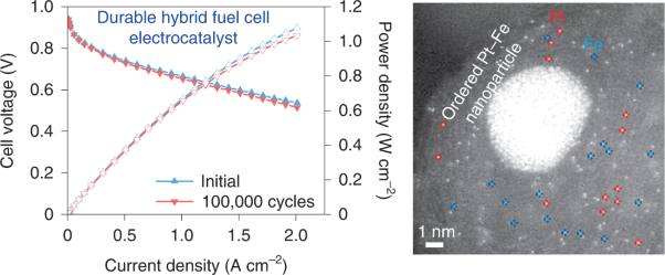 Atomically dispersed Pt and Fe sites and Pt–Fe nanoparticles for durable proton exchange membrane fuel cells