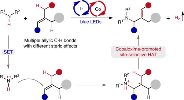 Site-selective amination towards tertiary aliphatic allylamines