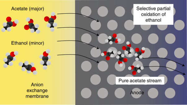 Enhancing acetate selectivity by coupling anodic oxidation to carbon monoxide electroreduction