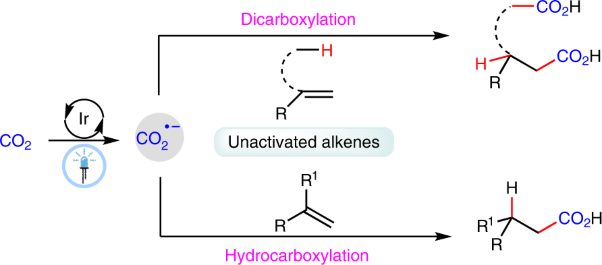 Visible-light photocatalytic di- and hydro-carboxylation of unactivated alkenes with CO<sub>2</sub>