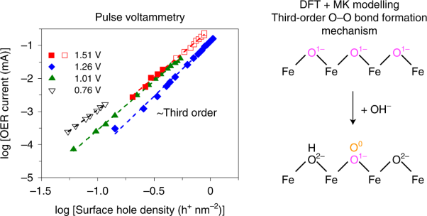 On the origin of multihole oxygen evolution in haematite photoanodes