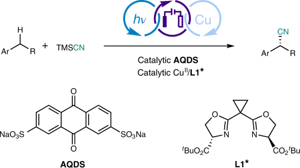 Photoelectrochemical asymmetric catalysis enables site- and enantioselective cyanation of benzylic C–H bonds