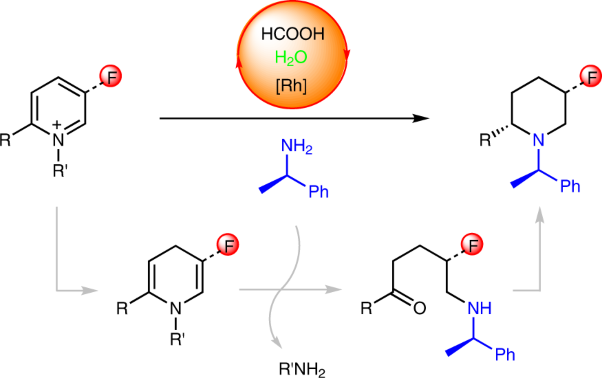 Synthesis of chiral piperidines from pyridinium salts via rhodium-catalysed transfer hydrogenation