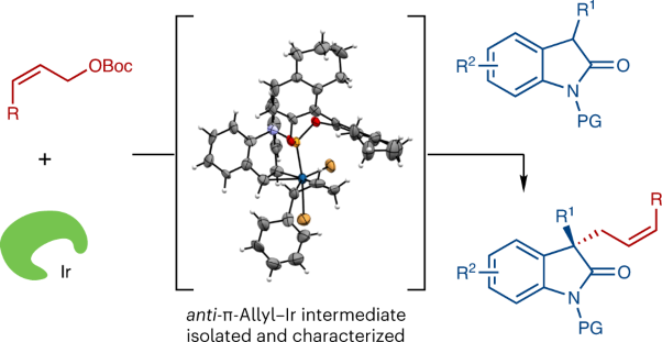 Structurally defined <i>anti</i>-π-allyliridium complexes catalyse <i>Z</i>-retentive asymmetric allylic alkylation of oxindoles