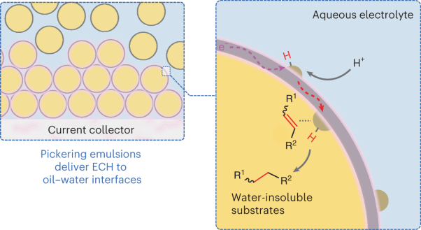 Electrocatalytic hydrogenation of alkenes with Pd/carbon nanotubes at an oil–water interface