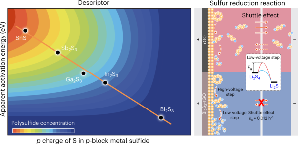 Optimizing the <i>p</i> charge of S in <i>p</i>-block metal sulfides for sulfur reduction electrocatalysis