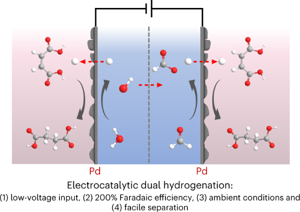 Electrocatalytic dual hydrogenation of organic substrates with a Faradaic efficiency approaching 200%