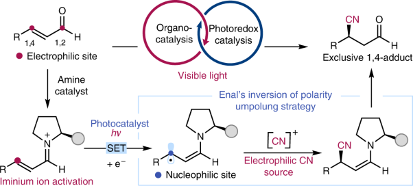 Stereoselective conjugate cyanation of enals by combining photoredox and organocatalysis