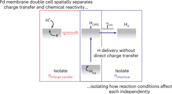 Reaction environment impacts charge transfer but not chemical reaction steps in hydrogen evolution catalysis