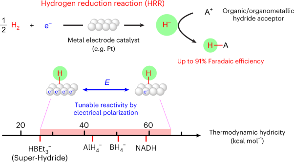 Metal surfaces catalyse polarization-dependent hydride transfer from H<sub>2</sub>