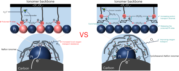 Blocking the sulfonate group in Nafion to unlock platinum’s activity in membrane electrode assemblies