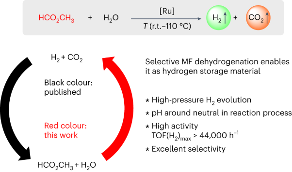 Methyl formate as a hydrogen energy carrier