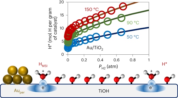 The role of surface hydroxyls in the entropy-driven adsorption and spillover of H<sub>2</sub> on Au/TiO<sub>2</sub> catalysts