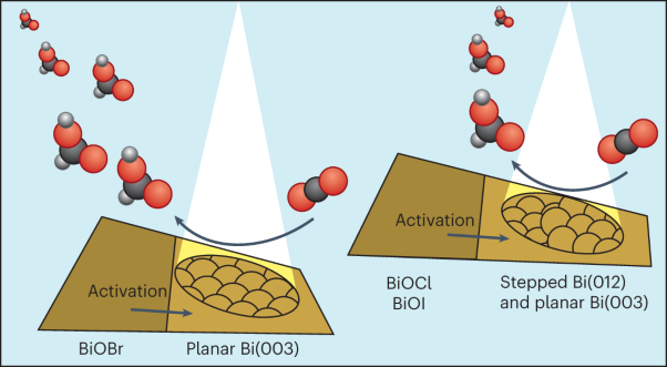 Halide-guided active site exposure in bismuth electrocatalysts for selective CO<sub>2</sub> conversion into formic acid