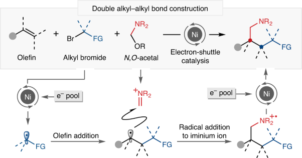 Double alkyl–alkyl bond construction across alkenes enabled by nickel electron-shuttle catalysis