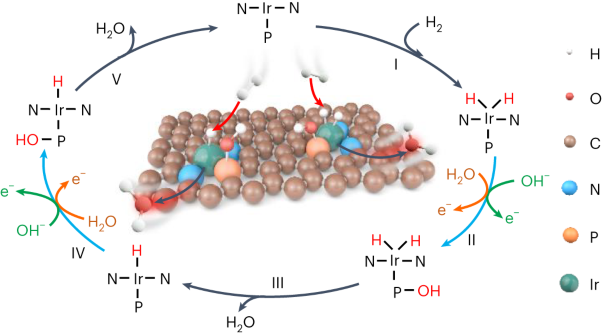 Atomic metal–non-metal catalytic pair drives efficient hydrogen oxidation catalysis in fuel cells